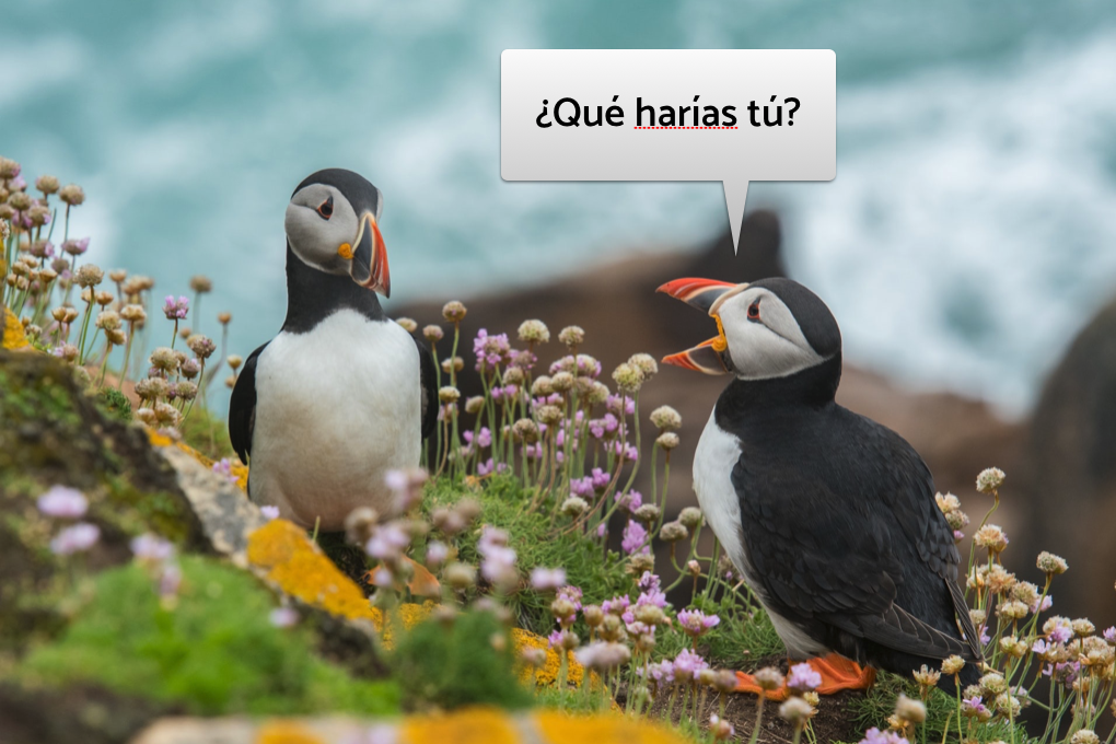 Un frailecillo pregunta a otro: "¿Qué harías tú?". Hasta los pájaros usan el storytelling y la participación en el aula.